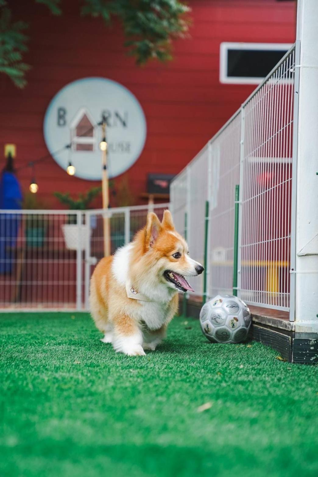 Barn House Pet Friendly Villa Pong Talong Dış mekan fotoğraf